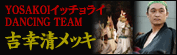 YOSAKOI�C�b�`�����CDANCING�@TEAM�@�g�����b�L