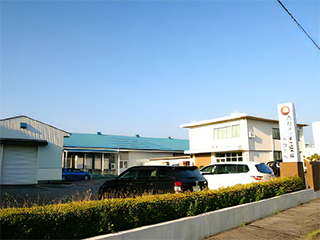 Morita Plant