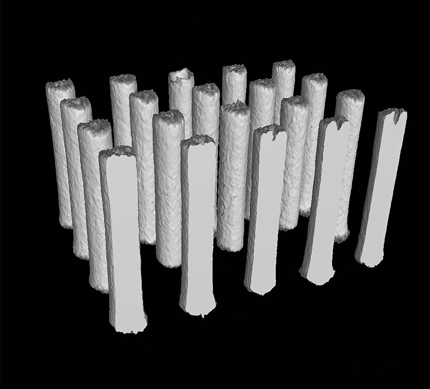 X-Ray CT 3D Image